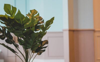 Best Colors for Biophilic Living Room Design in 2026: Complete Guide