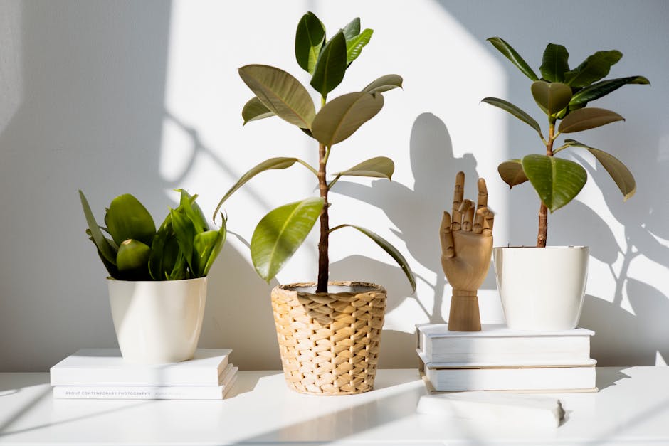 Indoor plants and books arranged on a sunlit table, creating a cozy and modern home decor vibe.