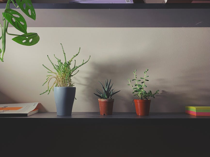 Minimalist shelf with potted houseplants and decor items for a serene interior.