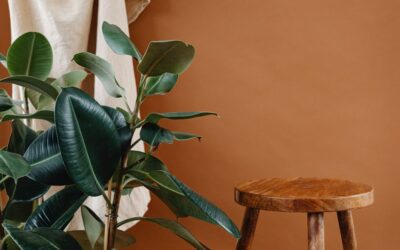 How to Style a Biophilic Bathroom with Plants in 2026: Complete Design Guide