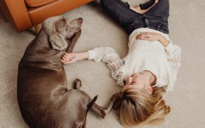 How to Protect Furniture from Pet Hair and Stains in 2026: Complete Guide