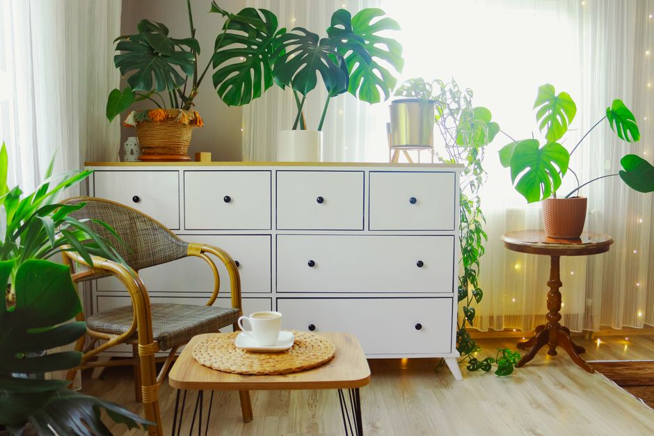 Bright living room featuring a white cabinet, woven chair, and lush indoor plants for a serene atmosphere.
