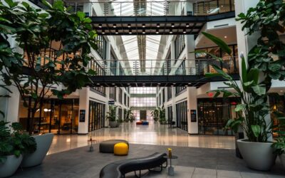 How Biophilic Design Boosts Creativity in Offices: Complete 2026 Guide