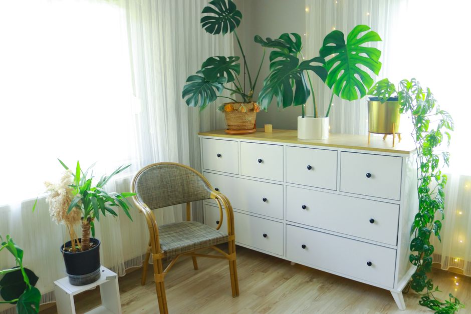 Stylish living room with white cabinet, potted plants, and natural light.