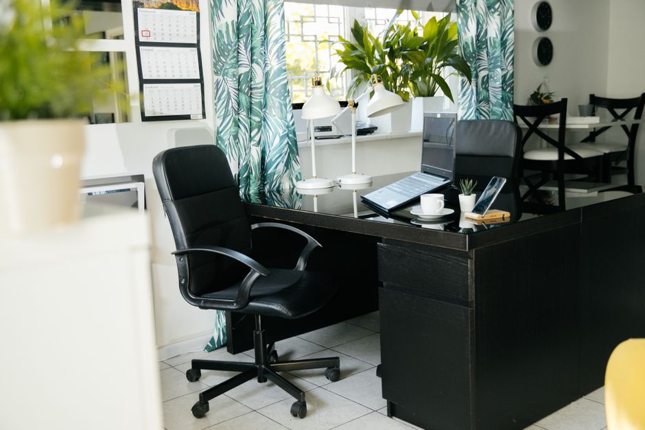 High angle of comfortable chair at table with opened laptop and lamp in modern light office with various potted plants